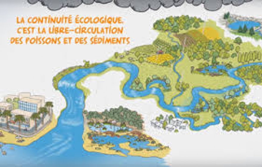 Redonnons libre-cours à nos rivières.jpg