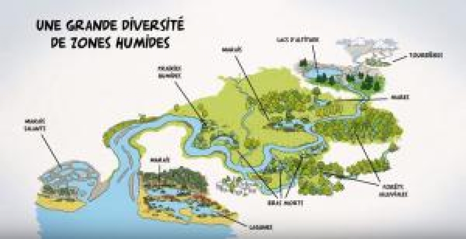 Zones humides, zones utiles.jpg